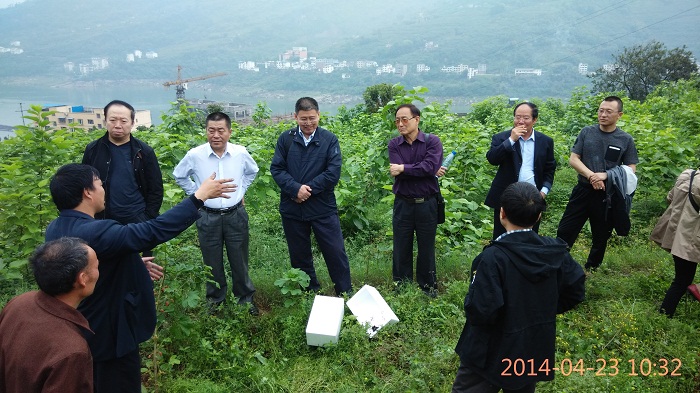 301540379641.jpg IMG_20140423_103232.0BF5230E793030FF127EF162F8F5B938.jpg