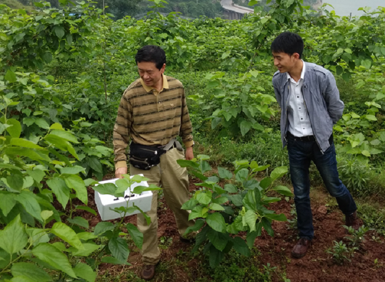 301546282880.png QQ图片20151030154853.png