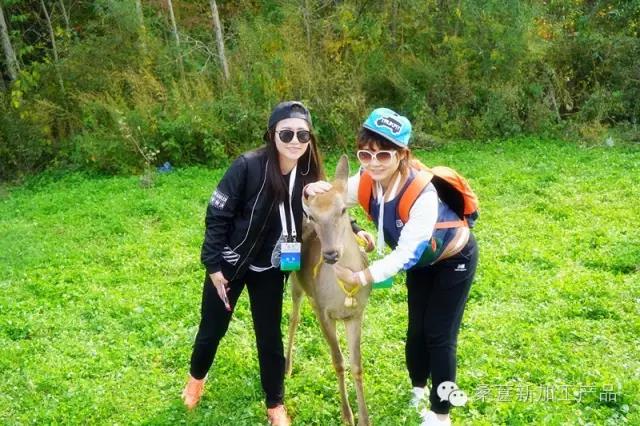 271505308054.jpg 9.jpg