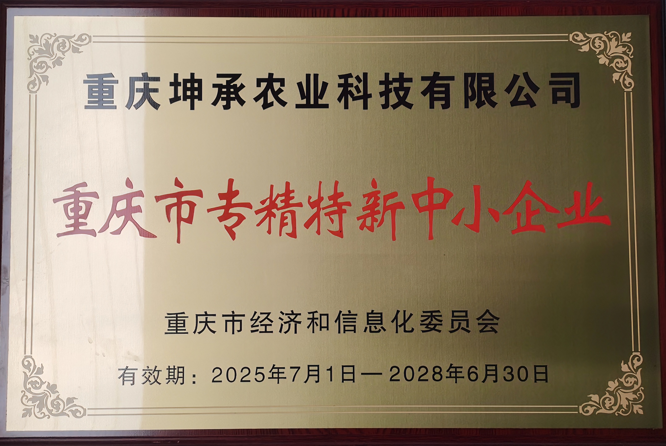 微信图片_20251223072441_21_6.jpg